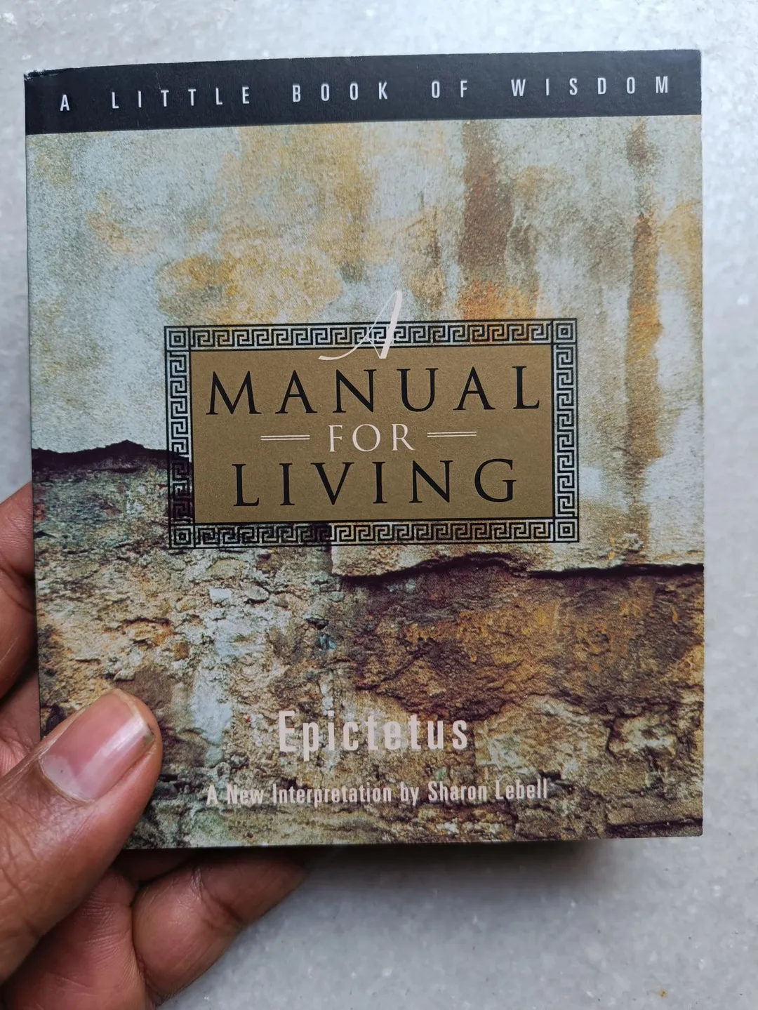 Cover of The Manual Of Living