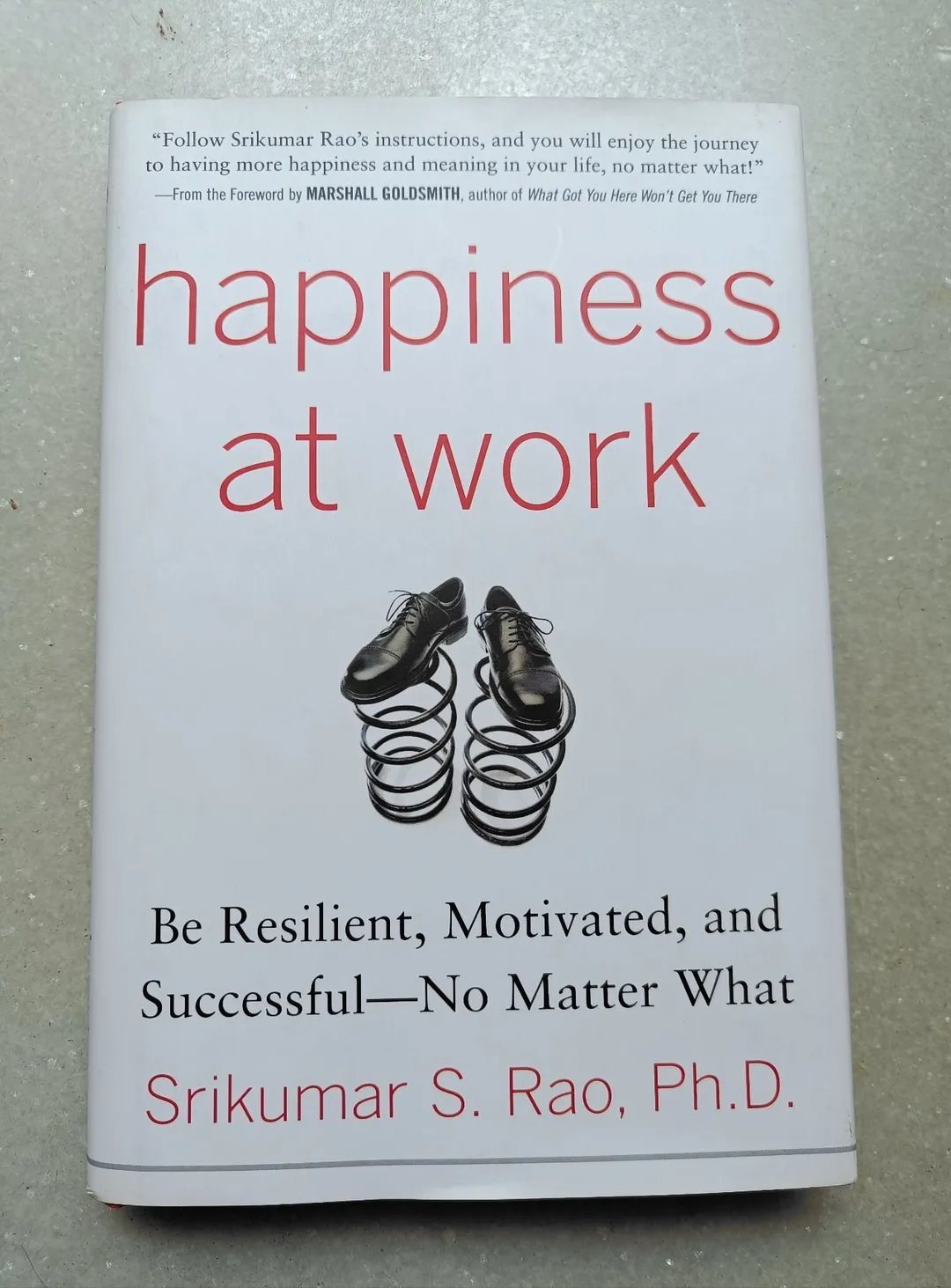 Cover of Happiness At Work