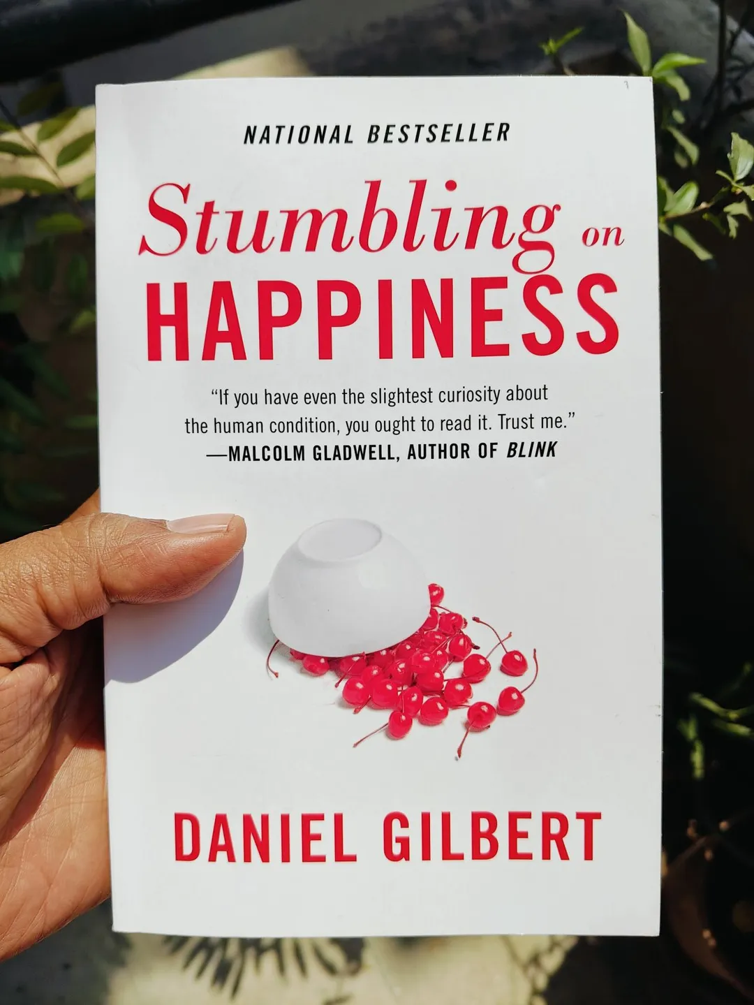Cover of Stumbling On Happiness