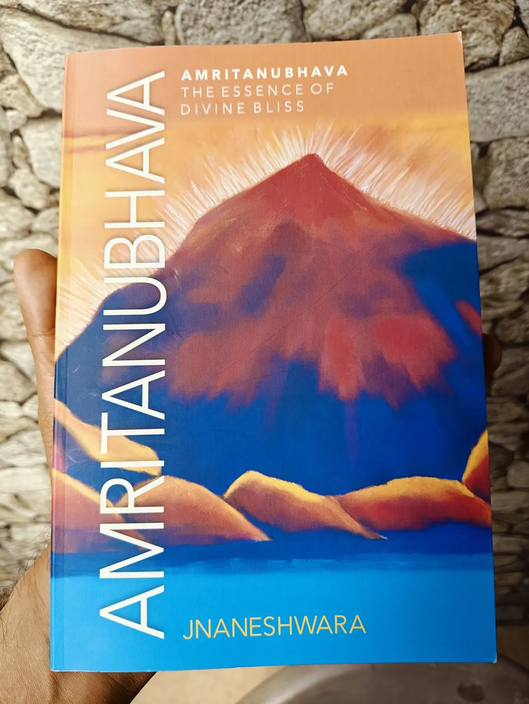 Cover of Amritanubhava